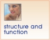 structure and function